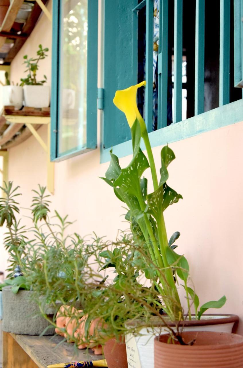 Bed and Breakfast Py'S House Nha Trang Exterior foto