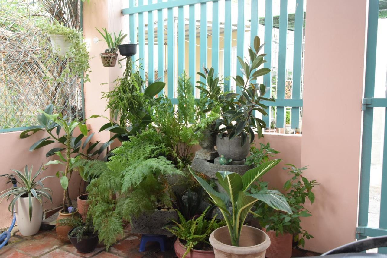 Bed and Breakfast Py'S House Nha Trang Exterior foto